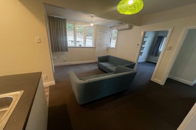 Photo of property in 217 Aro Street, Aro Valley, Wellington, 6021