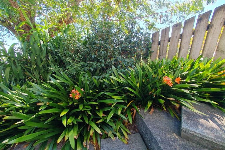 Photo of property in 117 Edward Street, Thames, 3500