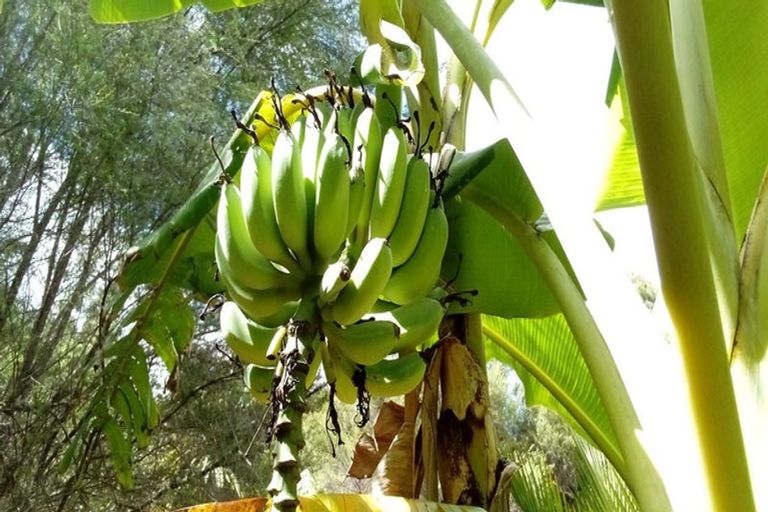 Photo of property in 108 Garbolino Road, Mangawhai, Kaiwaka, 0573