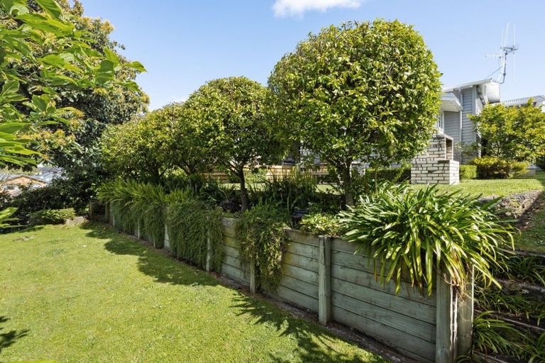Photo of property in 4 Dyer Street, Whitiora, Hamilton, 3200