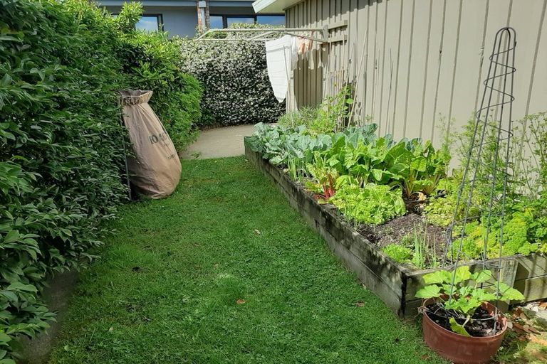 Photo of property in 59 Hillcrest Road, Otumoetai, Tauranga, 3110