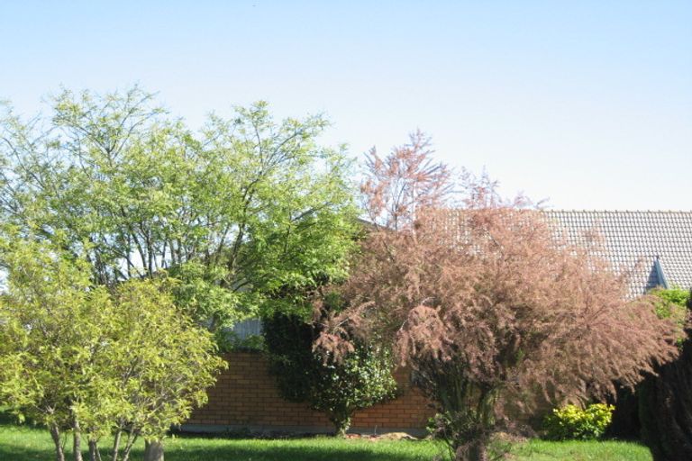 Photo of property in 17 Lowry Avenue, Redwood, Christchurch, 8051