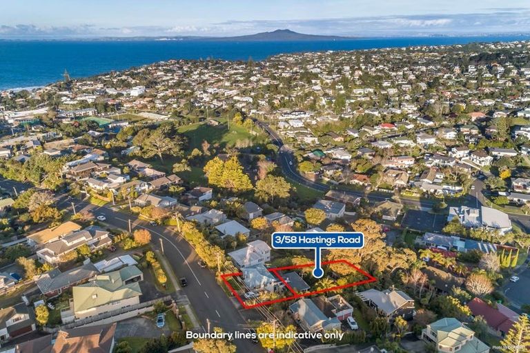 Photo of property in 3/58 Hastings Road, Mairangi Bay, Auckland, 0630