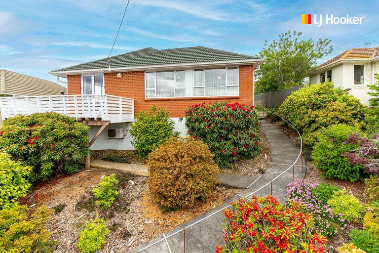 Photo of property in 101 Caldwell Street, Brockville, Dunedin, 9011