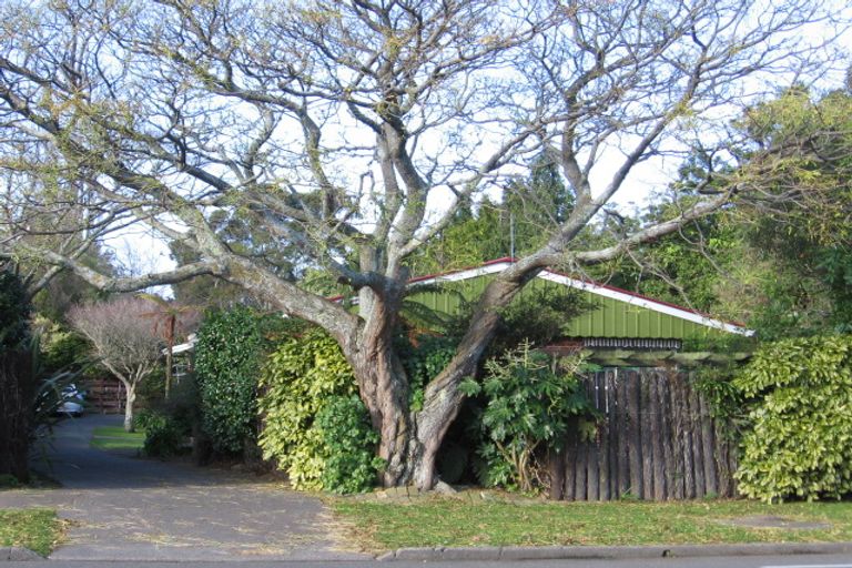 Photo of property in 17 Centennial Drive, Hokowhitu, Palmerston North, 4410