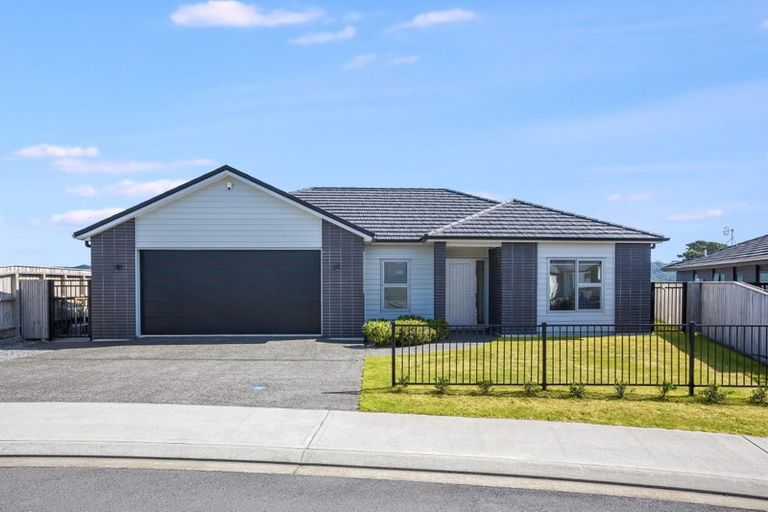 Photo of property in 21 Rotorua Grove, Aotea, Porirua, 5024
