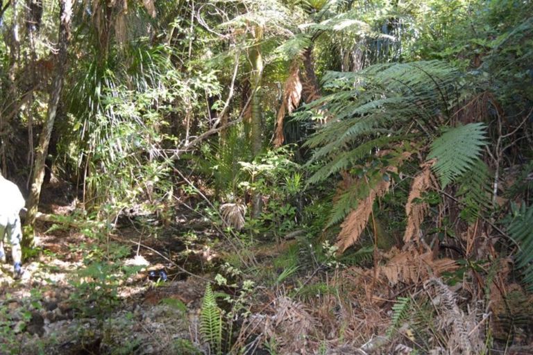 Photo of property in 1455 Buffalo Road, Coromandel, 3506