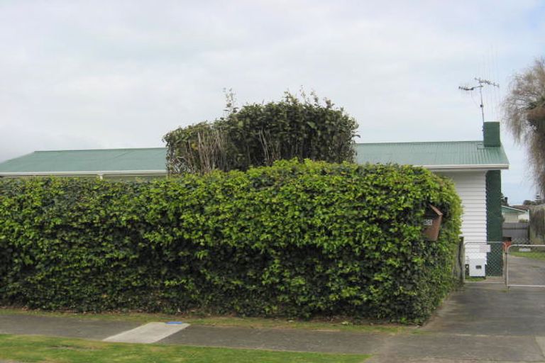 Photo of property in 55 Read Street, Levin, 5510