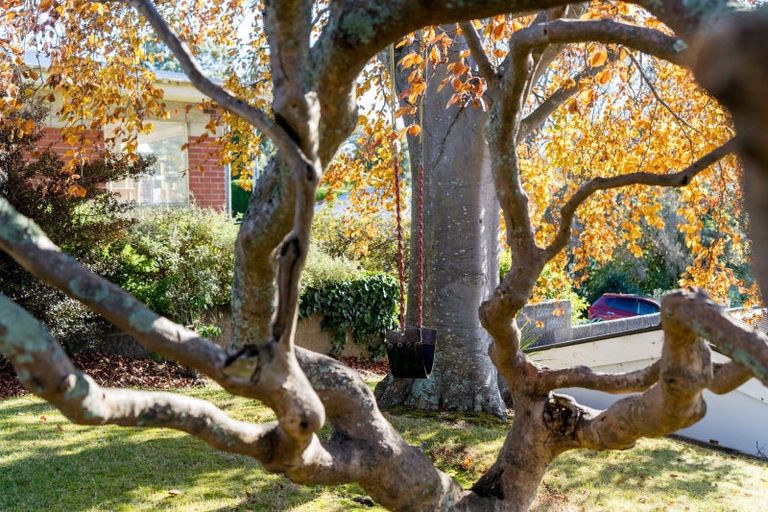 Photo of property in 3 Picardy Street, Maryhill, Dunedin, 9011