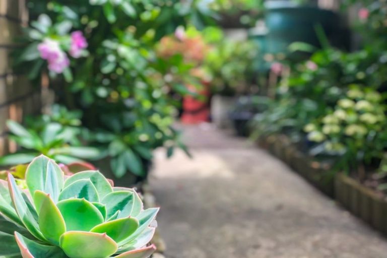 Photo of property in 7b Ratanui Road, Paraparaumu, 5032