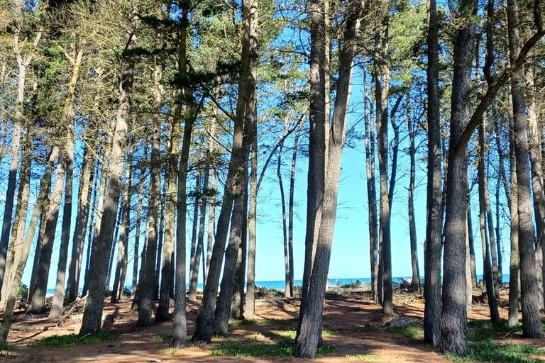 Photo of property in 10 Chamberlain Avenue, Amberley, 7481