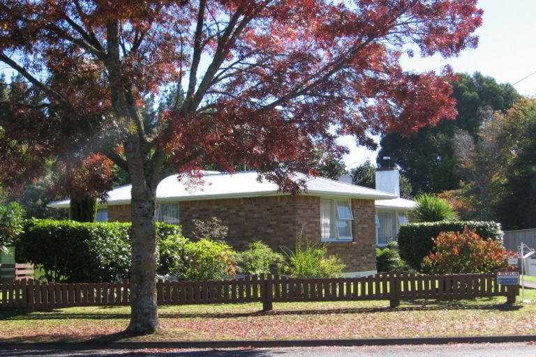 Photo of property in 149 Arapuni Street, Putaruru, 3411