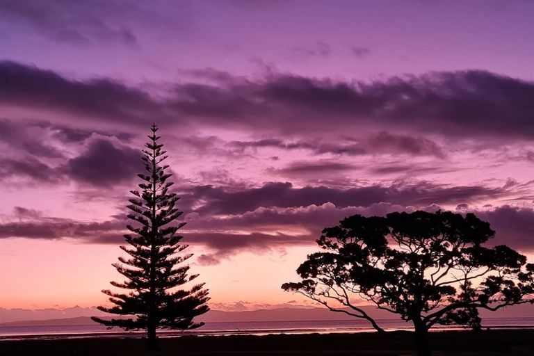 Photo of property in 406 Tararu Sh25 Road, Thames, 3500