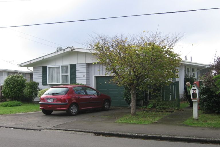 Photo of property in 12 Trebann Street, Paparangi, Wellington, 6037