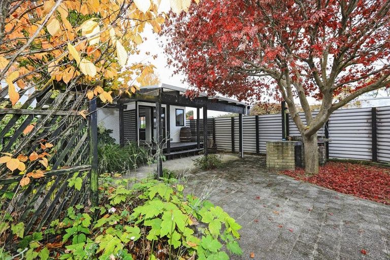 Photo of property in 301 Leo Street, Akina, Hastings, 4122