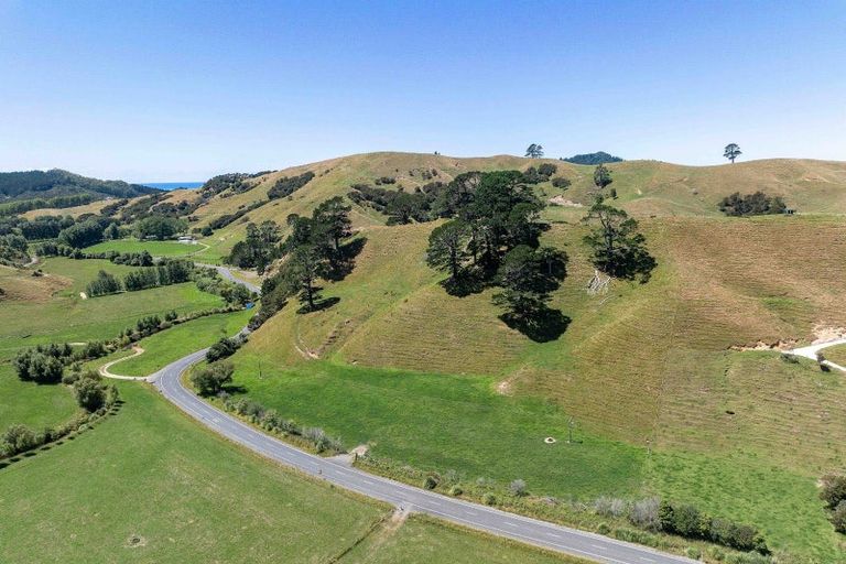 Photo of property in 273 Wentworth Valley Road, Whangamata, 3691