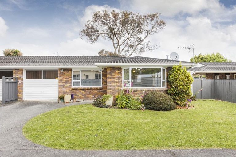 Photo of property in 10a Millar Street, Terrace End, Palmerston North, 4410