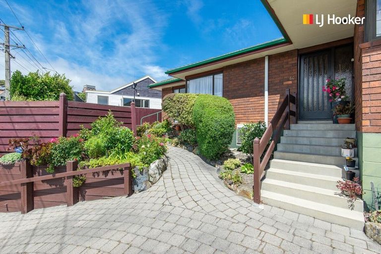 Photo of property in 60 Silverton Street, Andersons Bay, Dunedin, 9013