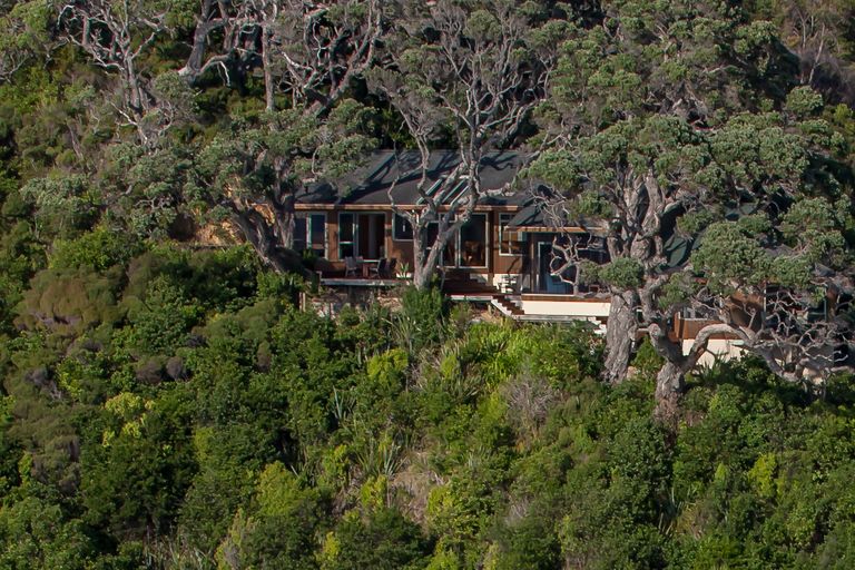 Photo of property in 356 Rockell Road, Whananaki, Hikurangi, 0181