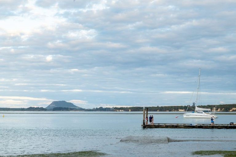 Photo of property in 17 Anglers Way, Omokoroa, 3114