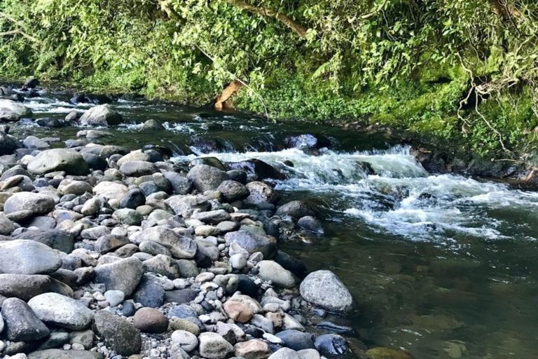 Photo of property in 350 Bedford Road, Kaimiro, Inglewood, 4386