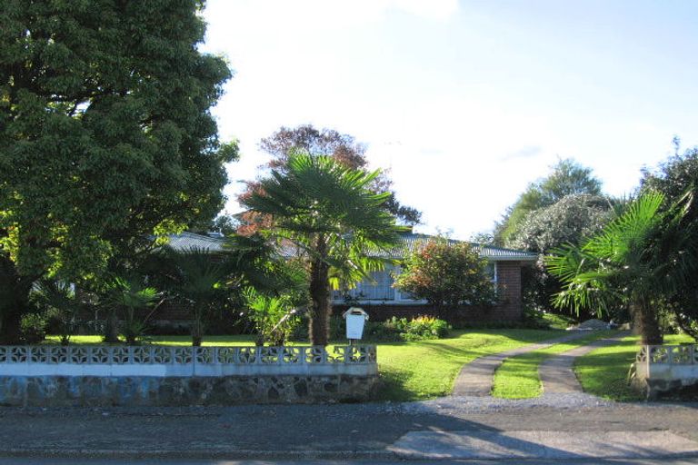 Photo of property in 81 Arapuni Street, Putaruru, 3411