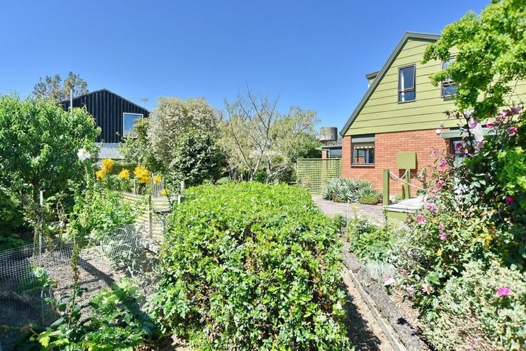 Photo of property in 50 Grierson Avenue, Amberley, 7481