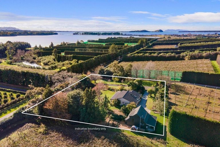 Photo of property in 196 Tuapiro Road, Tahawai, Katikati, 3170
