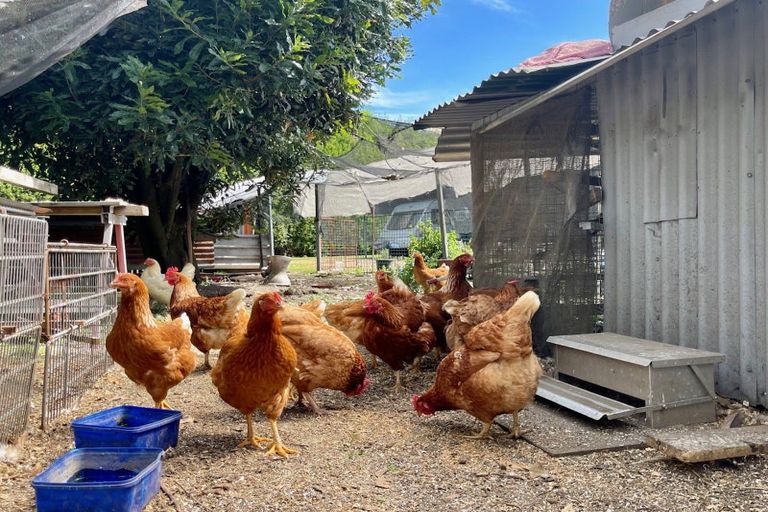 Photo of property in 13 Ronalds Lane, Te Puke, 3187