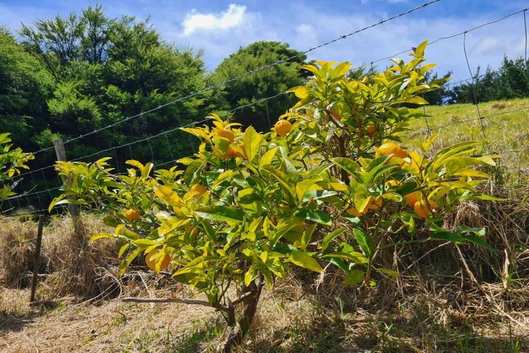 Photo of property in 98 Kowhai Drive, Te Kouma, Coromandel, 3581