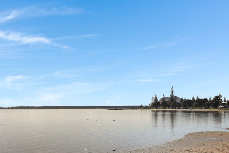 Photo of property in 55a Matua Road, Matua, Tauranga, 3110