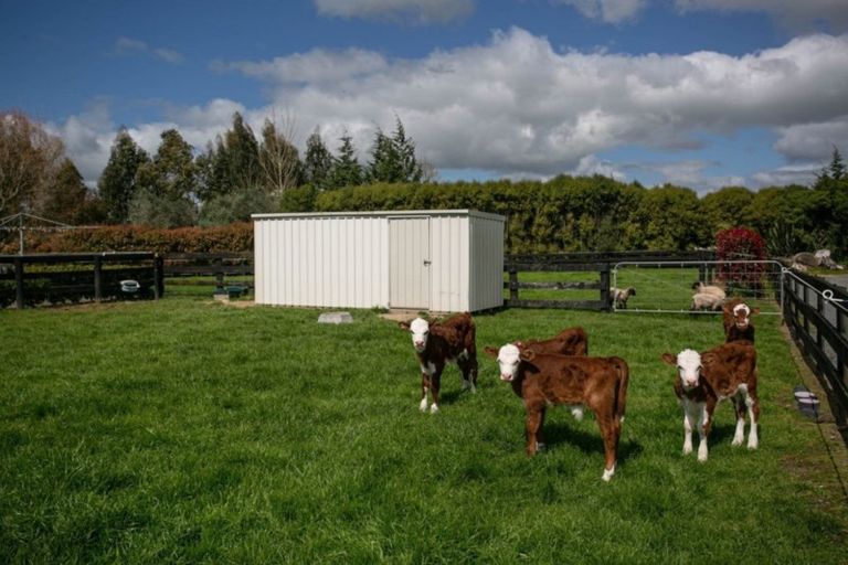 Photo of property in 1094b Tauwhare Road, Tauwhare, Hamilton, 3287