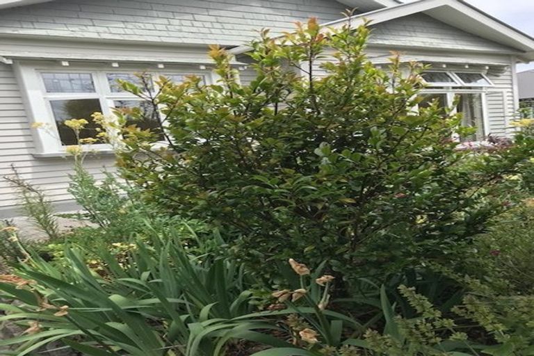 Photo of property in 16 Conway Street, Somerfield, Christchurch, 8024