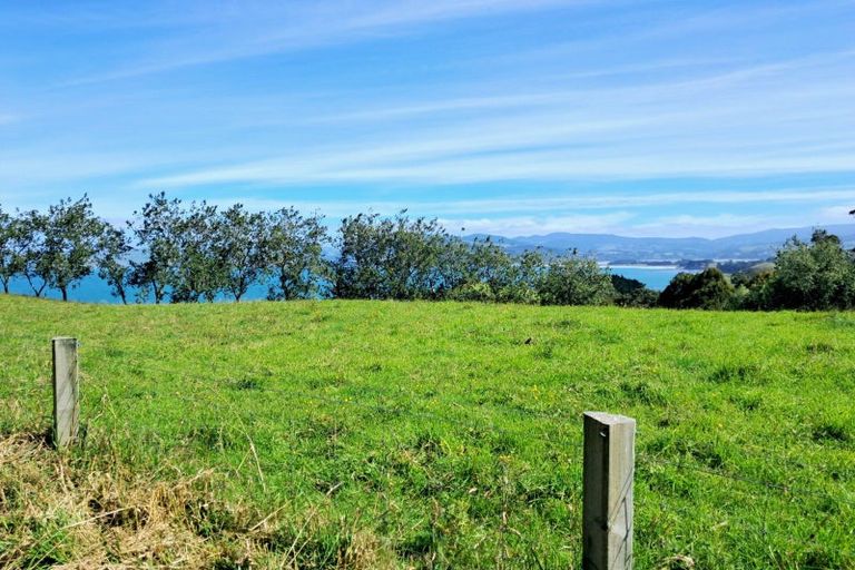 Photo of property in 24 Kilgour Street, Roslyn, Dunedin, 9010