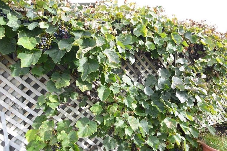 Photo of property in 2a Shannon Street, Alexandra, 9320