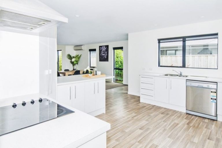 Photo of property in 125 Infinity Drive, Pegasus, 7612