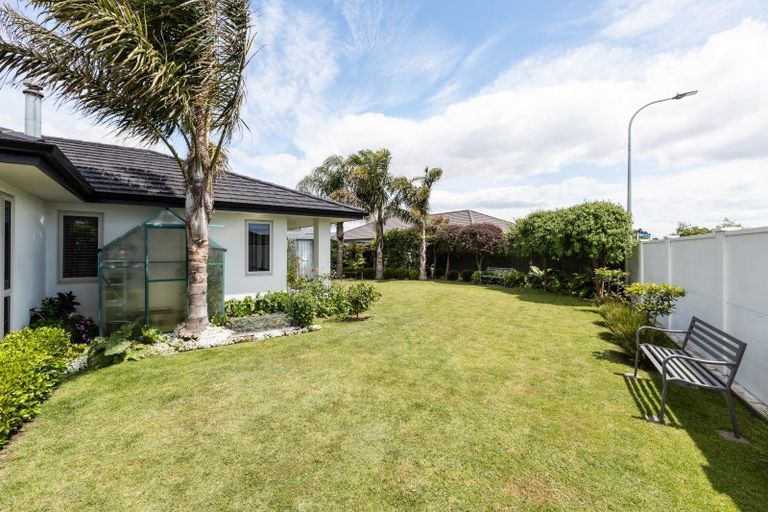 Photo of property in 19 Lochhead Street, Mahora, Hastings, 4120