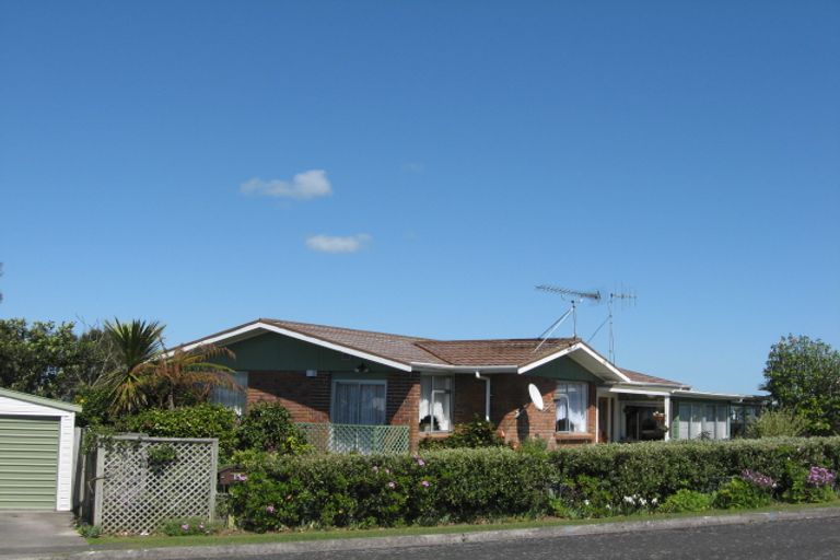 Photo of property in 15 Burke Place, Huntly, 3700