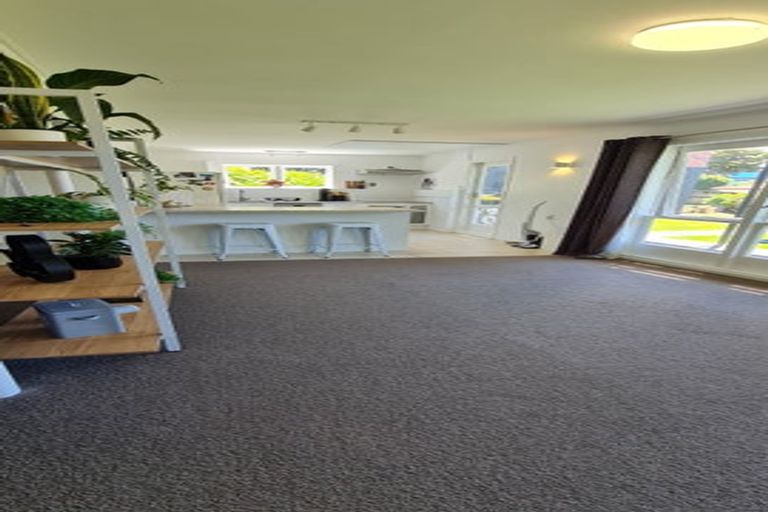 Photo of property in 46 Exmouth Road, Northcote, Auckland, 0627