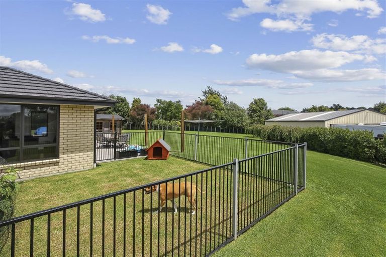 Photo of property in 386 Mckenzie Road, Waiau Pa, Pukekohe, 2679