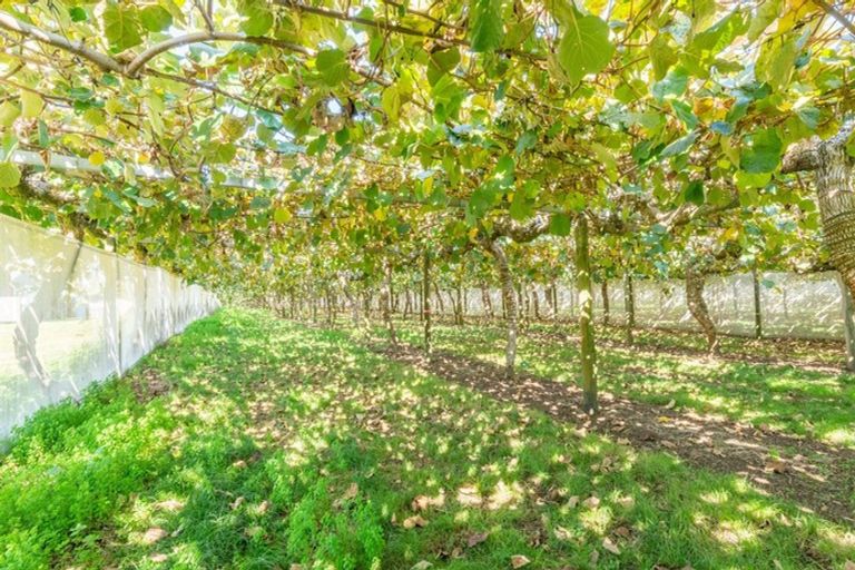 Photo of property in 69 Prole Road, Omokoroa, Tauranga, 3172