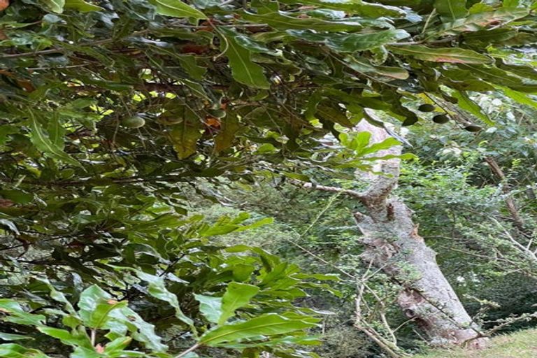 Photo of property in 1314 Wairamarama Onewhero Road, Onewhero, Tuakau, 2697