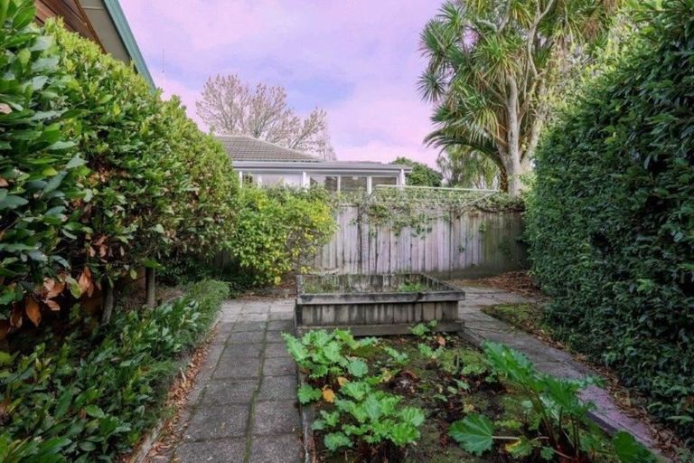 Photo of property in 10 Bretton Terrace, Hillcrest, Hamilton, 3216