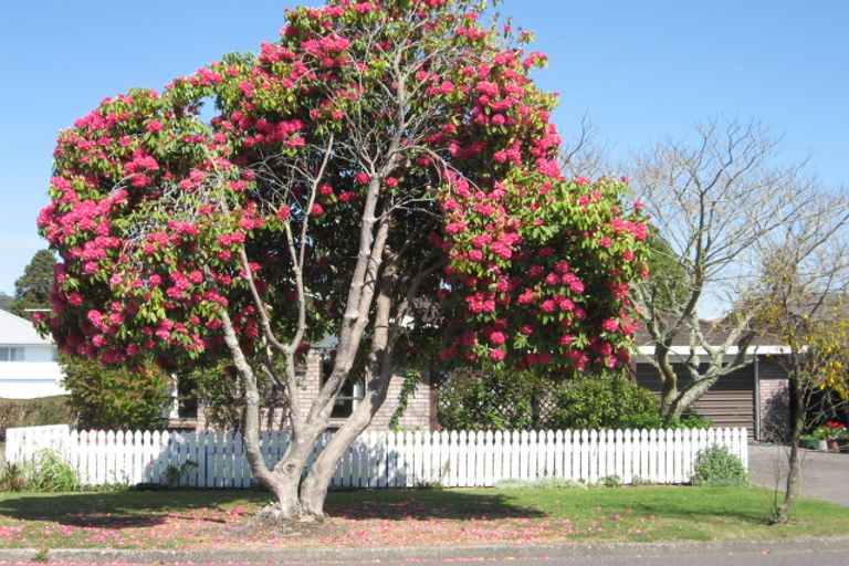 Photo of property in 58a Sophia Street, Glenholme, Rotorua, 3010