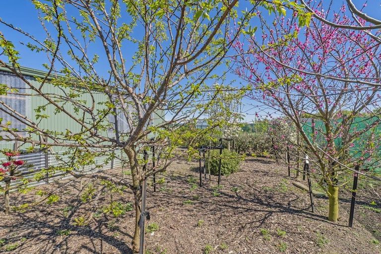 Photo of property in 56 Verdeco Boulevard, Lincoln, 7608