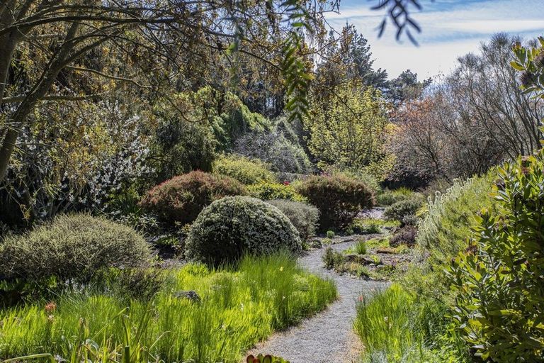 Photo of property in 40 Maskells Road, Balcairn, Amberley, 7481