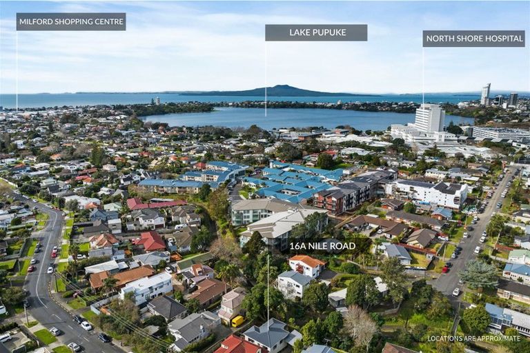 Photo of property in 1/16 Nile Road, Milford, Auckland, 0620