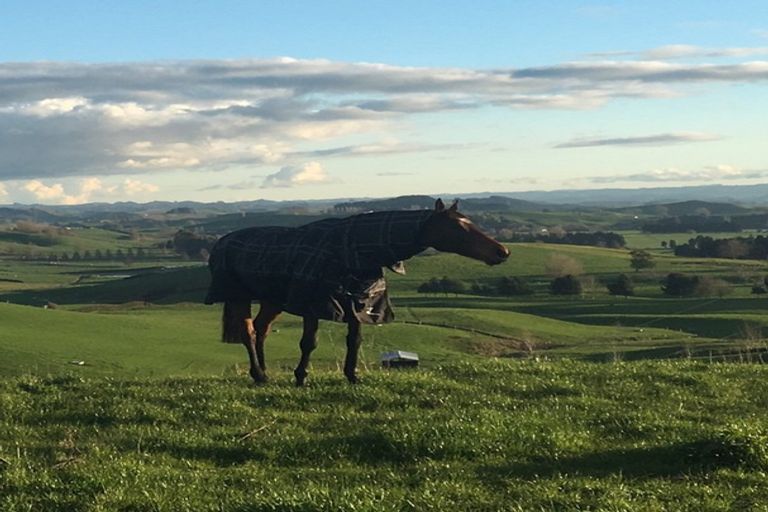 Photo of property in 734 Mangaorongo Road, Otorohanga, 3972