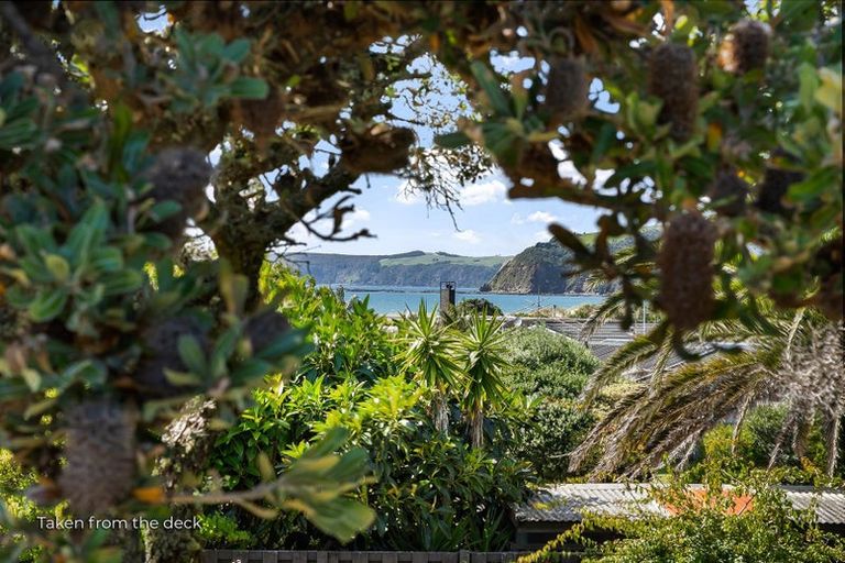 Photo of property in 6 Jane Gifford Place, Omaha, 0986