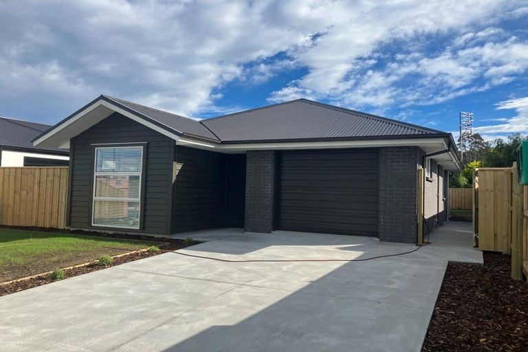 Photo of property in 59 Henshaw Street, Woodend, 7610